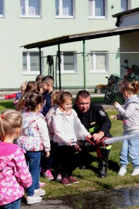 IMG 4056