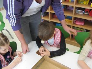 IMG 7531