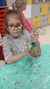 IMG 20181119 122535666