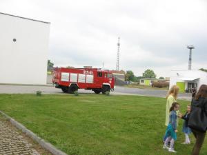 IMG 8272