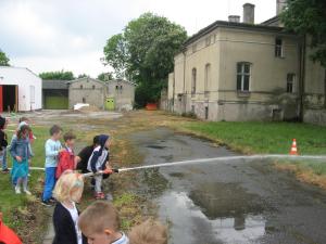 IMG 8282
