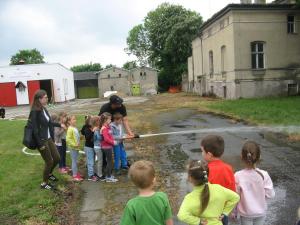 IMG 8286