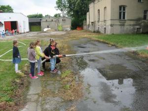 IMG 8289